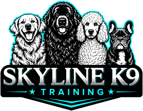 Skyline K9 Training