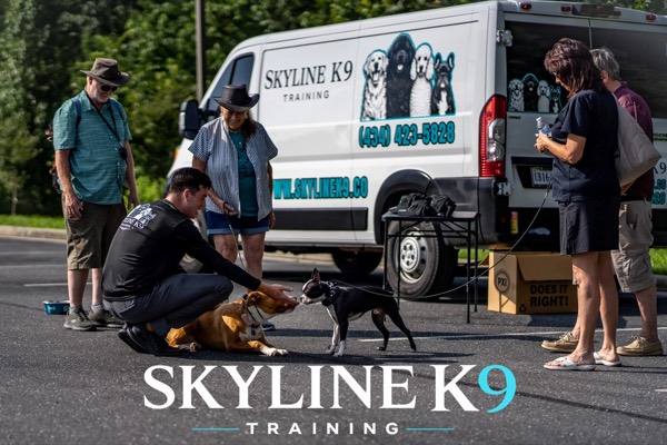 Dog training on leash with a Skyline K9 trainer